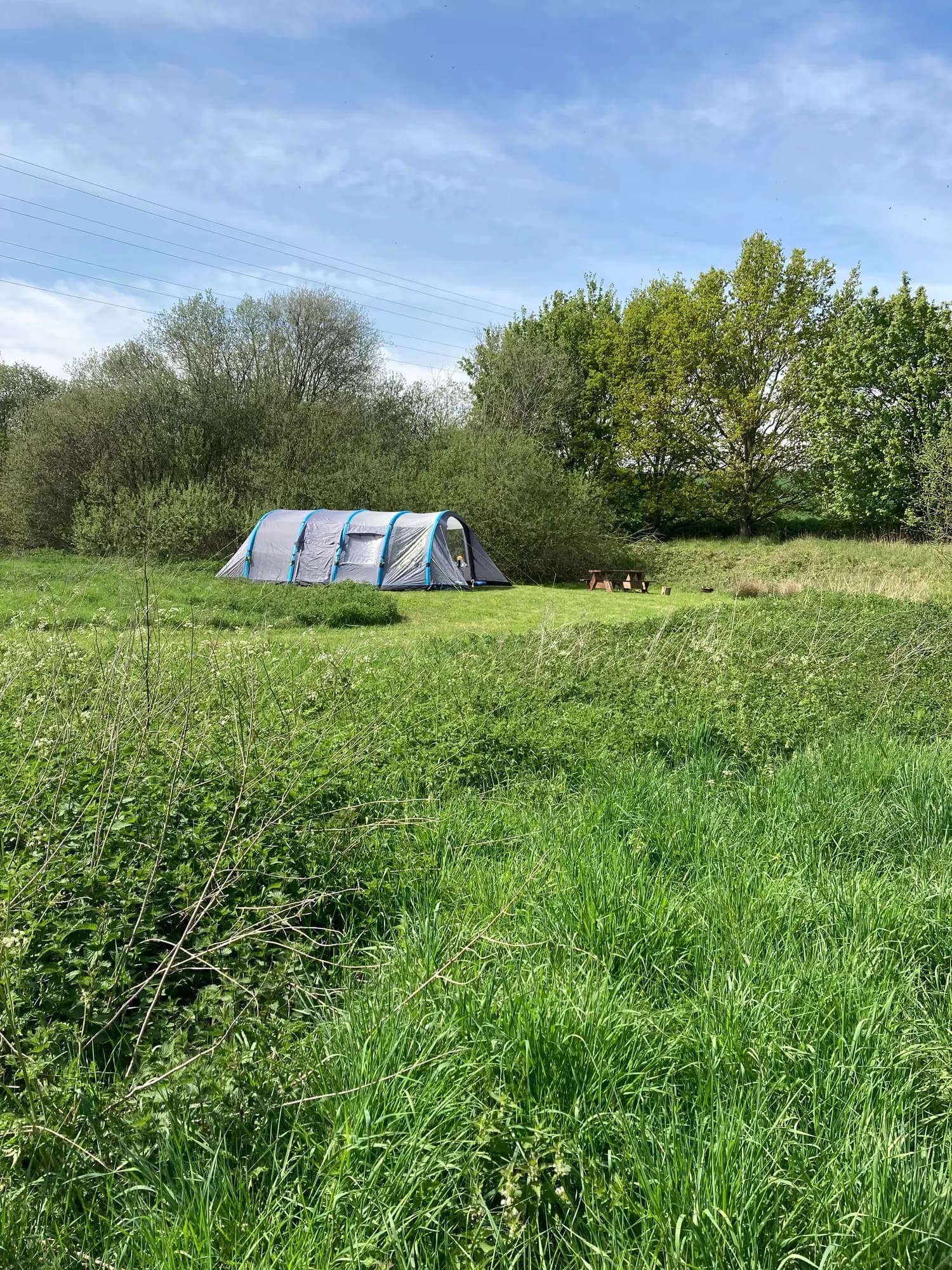 Barn Owl Camping