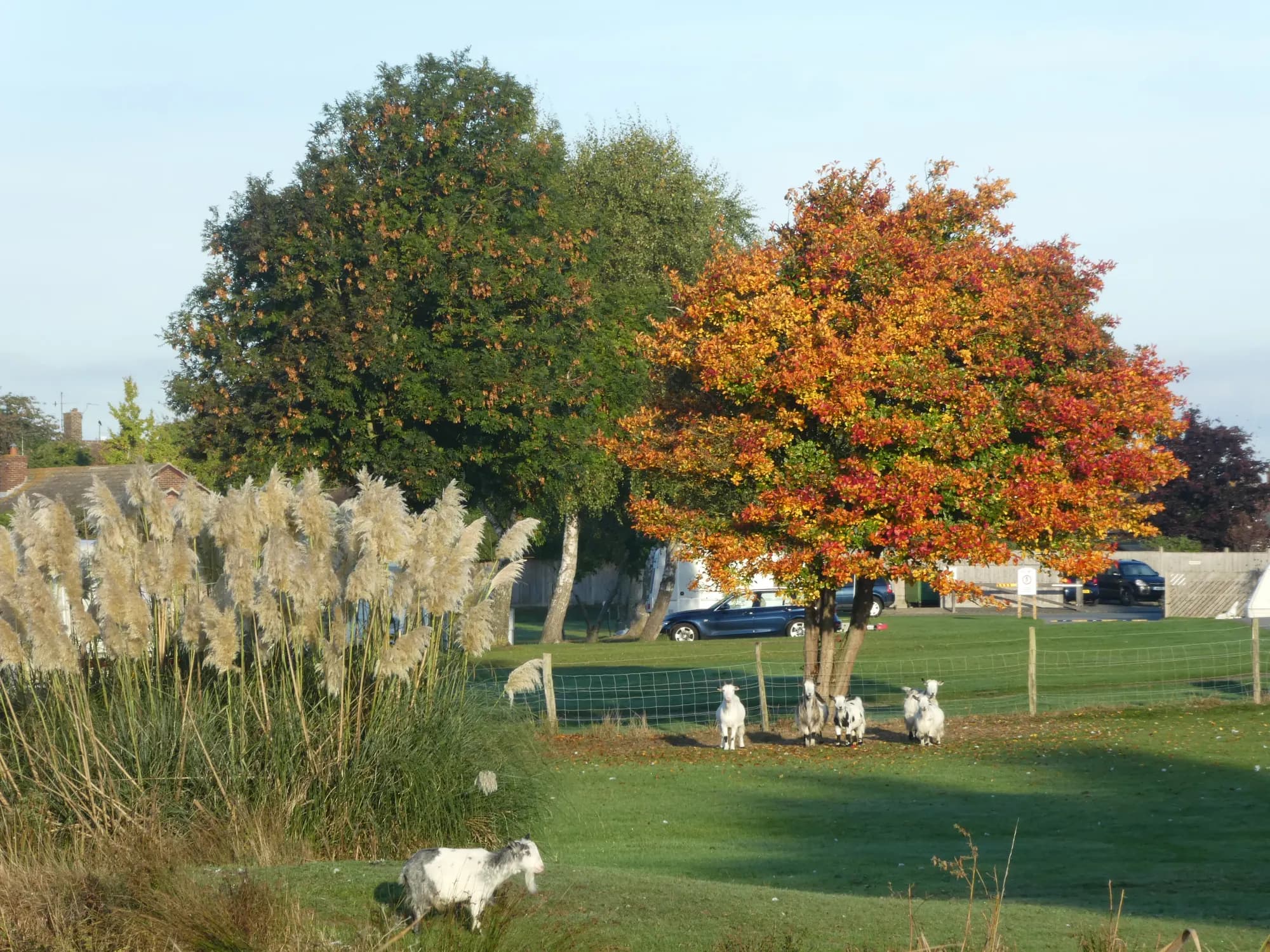 Fairfields Farm