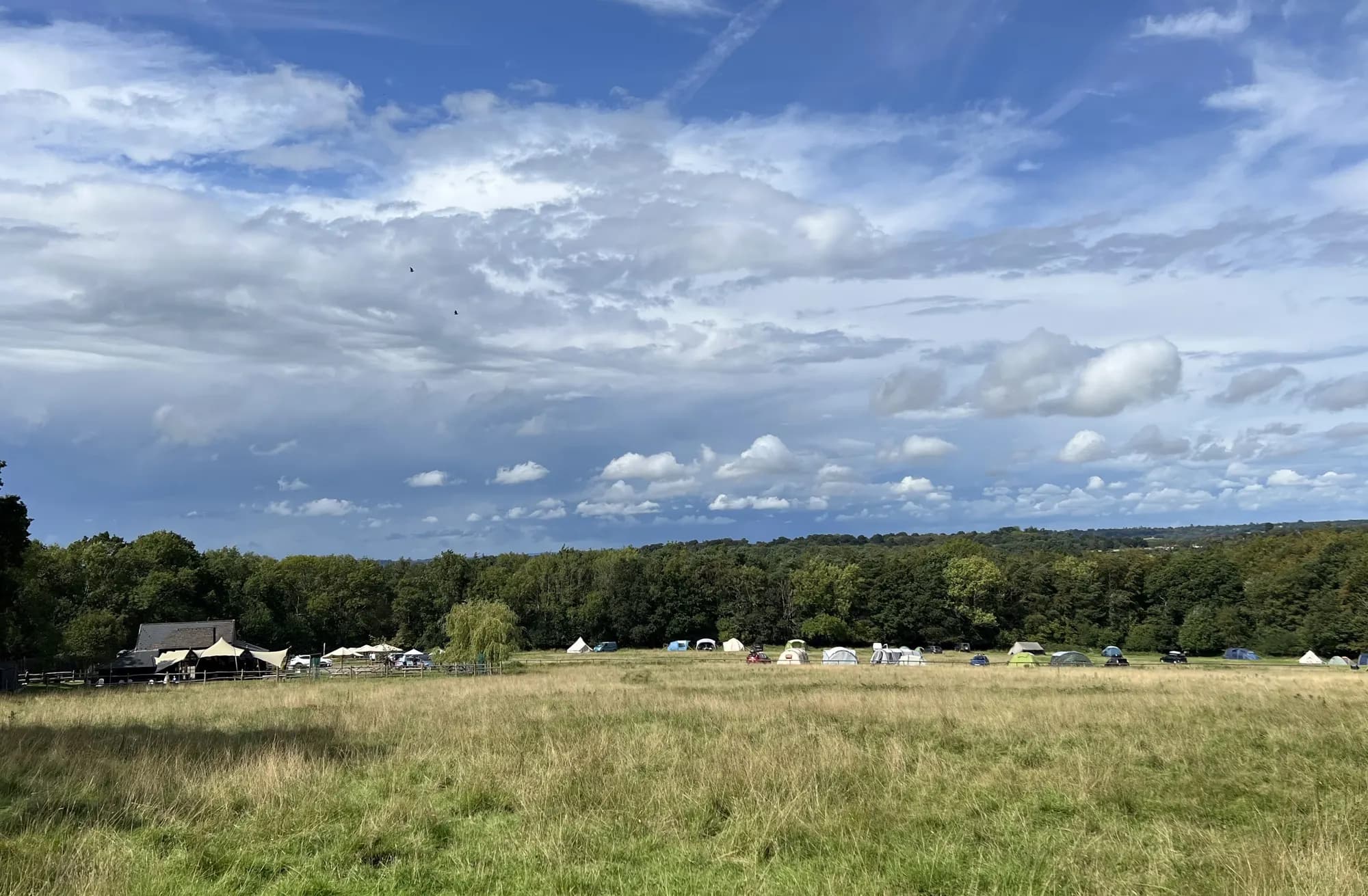 Bluebell Camp Site