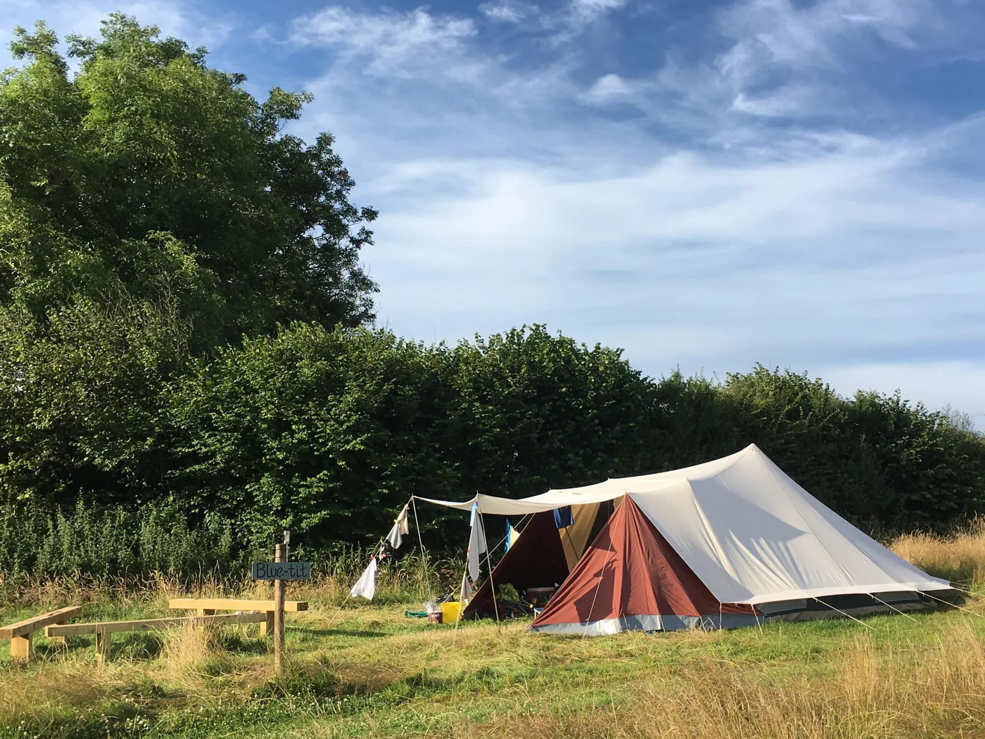 Green Sheep Camping