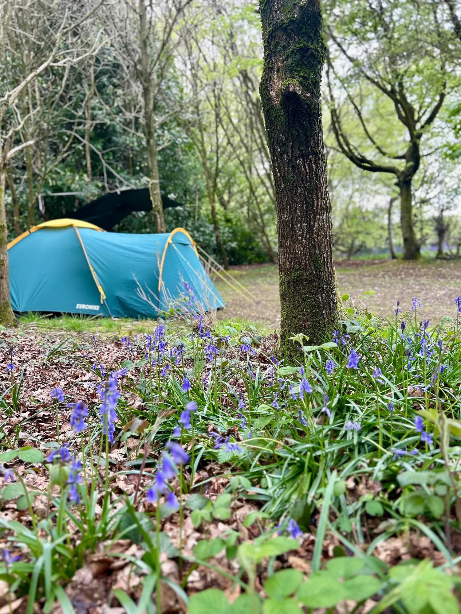 Chiltern Retreat