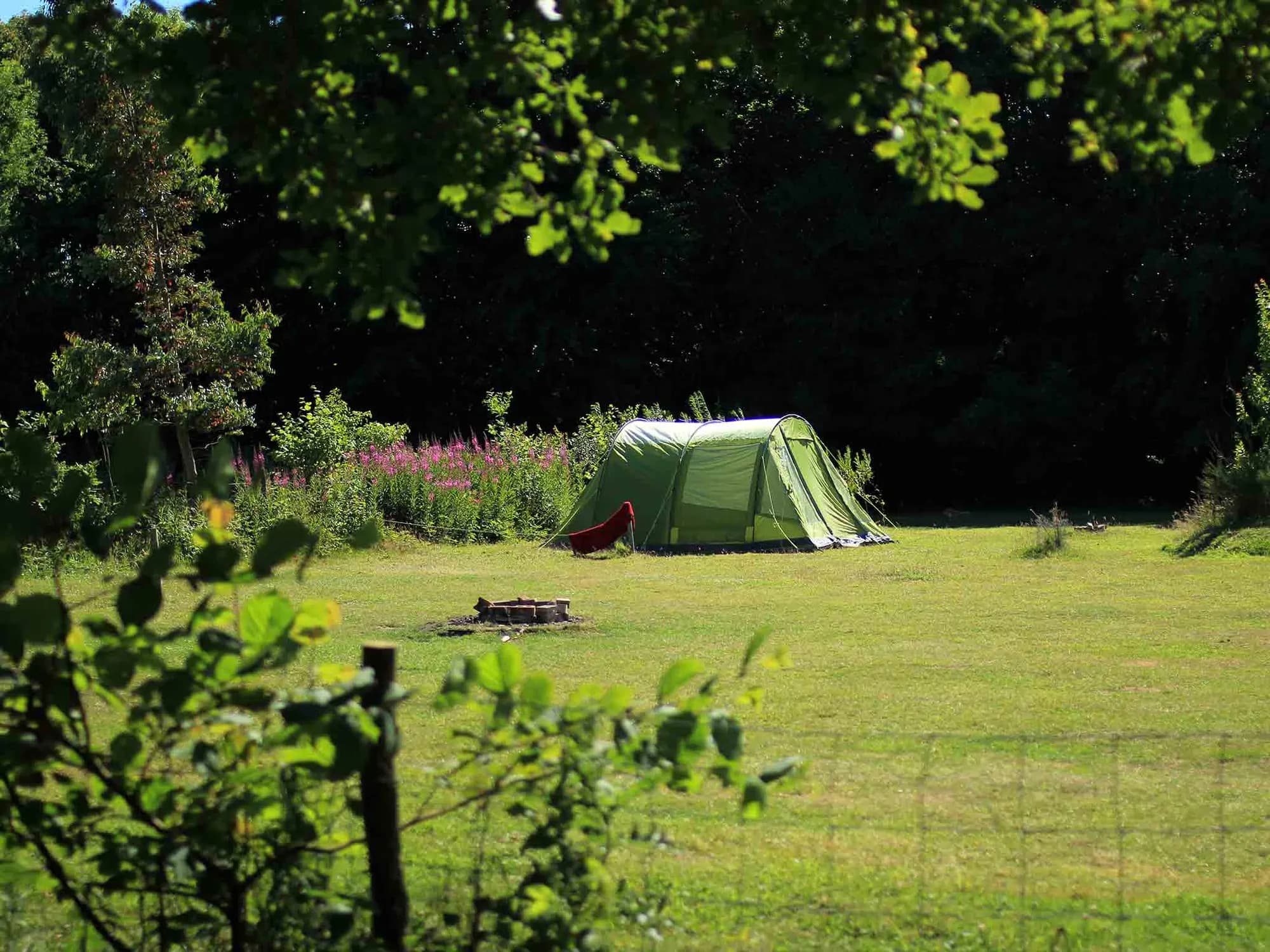 Welsummer Camping
