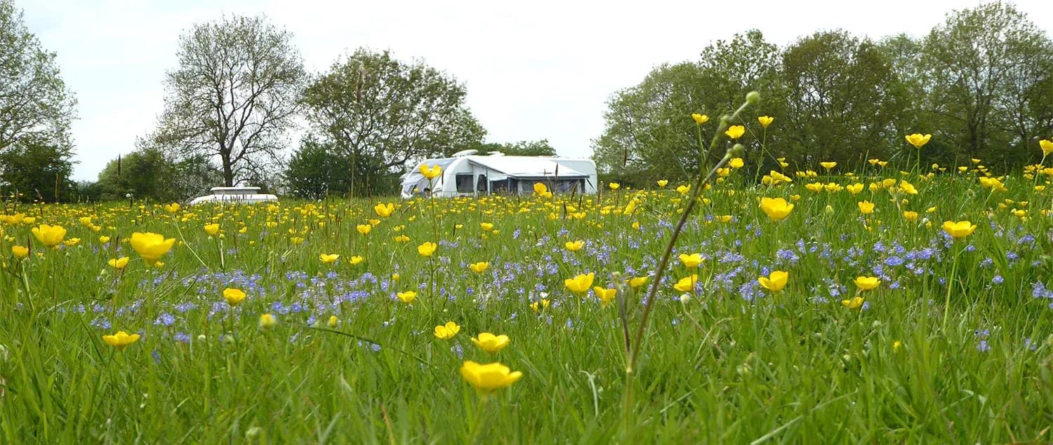 Mount Farm Park