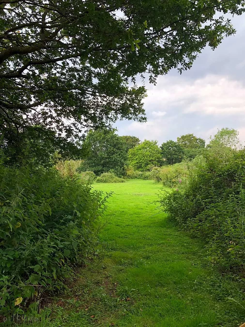 Orchard Wild Camping