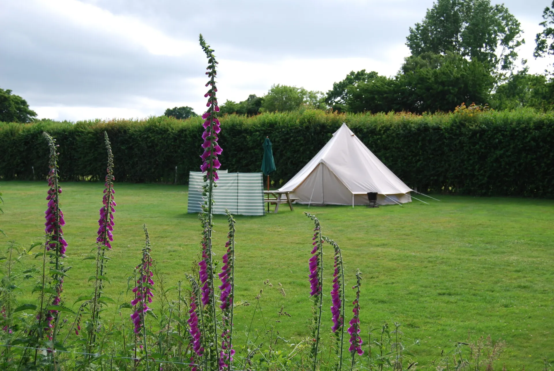 Hare and Hounds Campsite