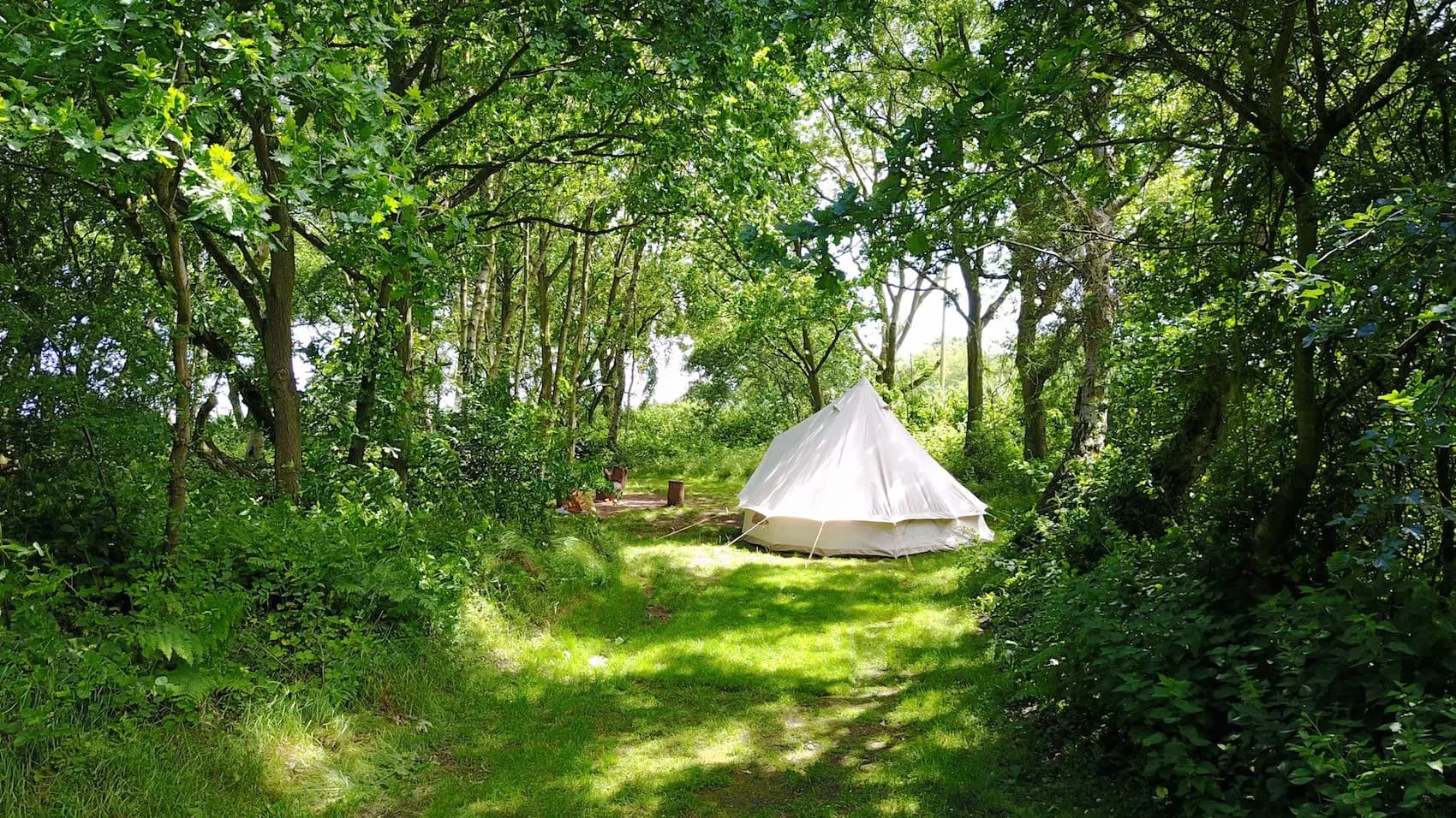 Dreamy Hollow Woodland Campsite & WW1 Trenches