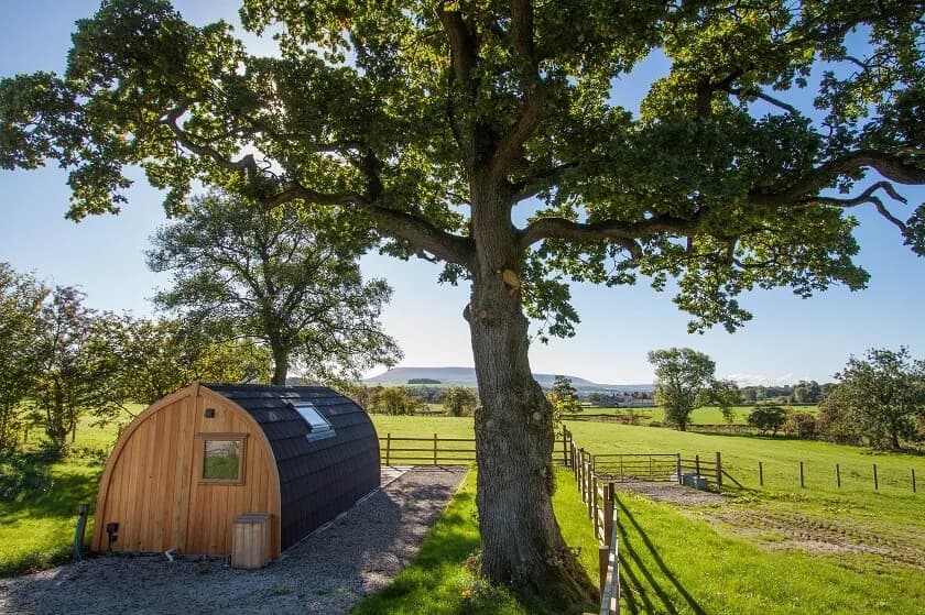 Calder Farm Campsite