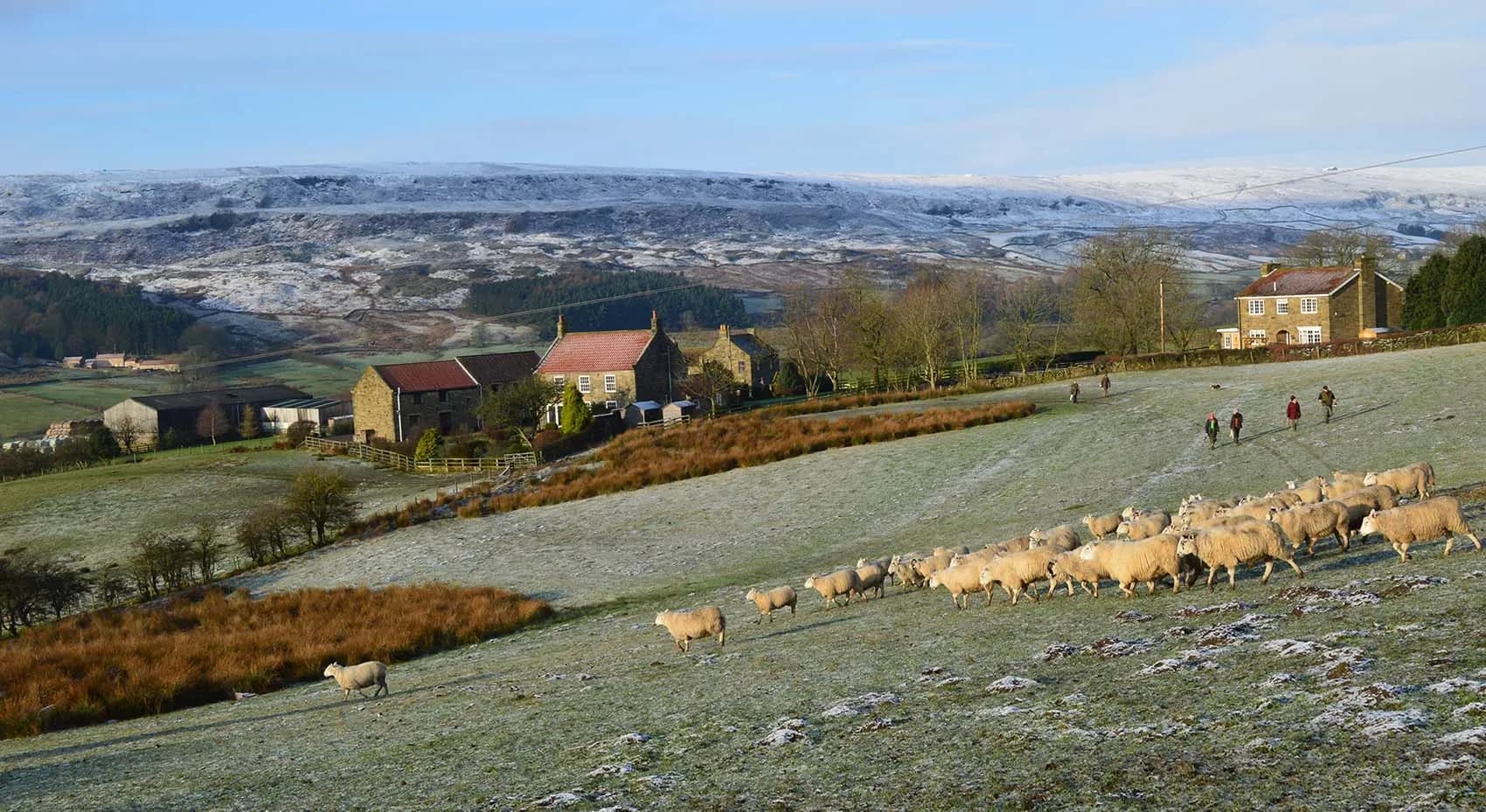 Low Bell End Farm Campsite