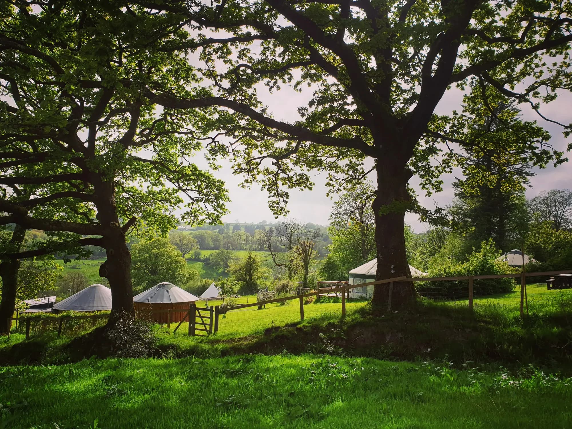 Fron Farm Yurt Retreat