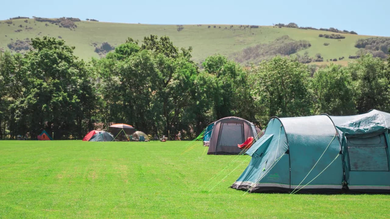 Bramley Park Camping