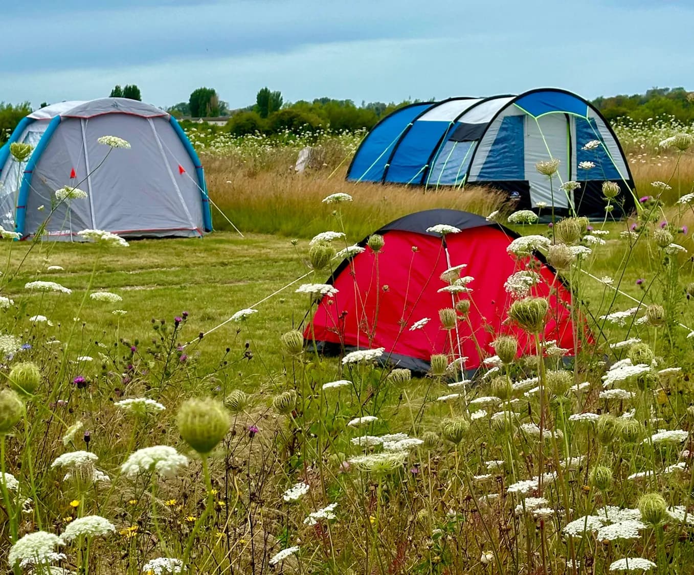 Cuckoo Camp