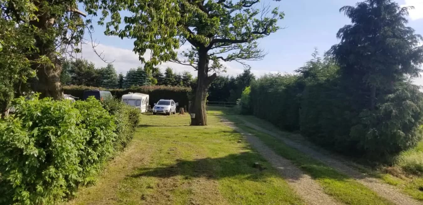 Dobella Lane Farm Camping