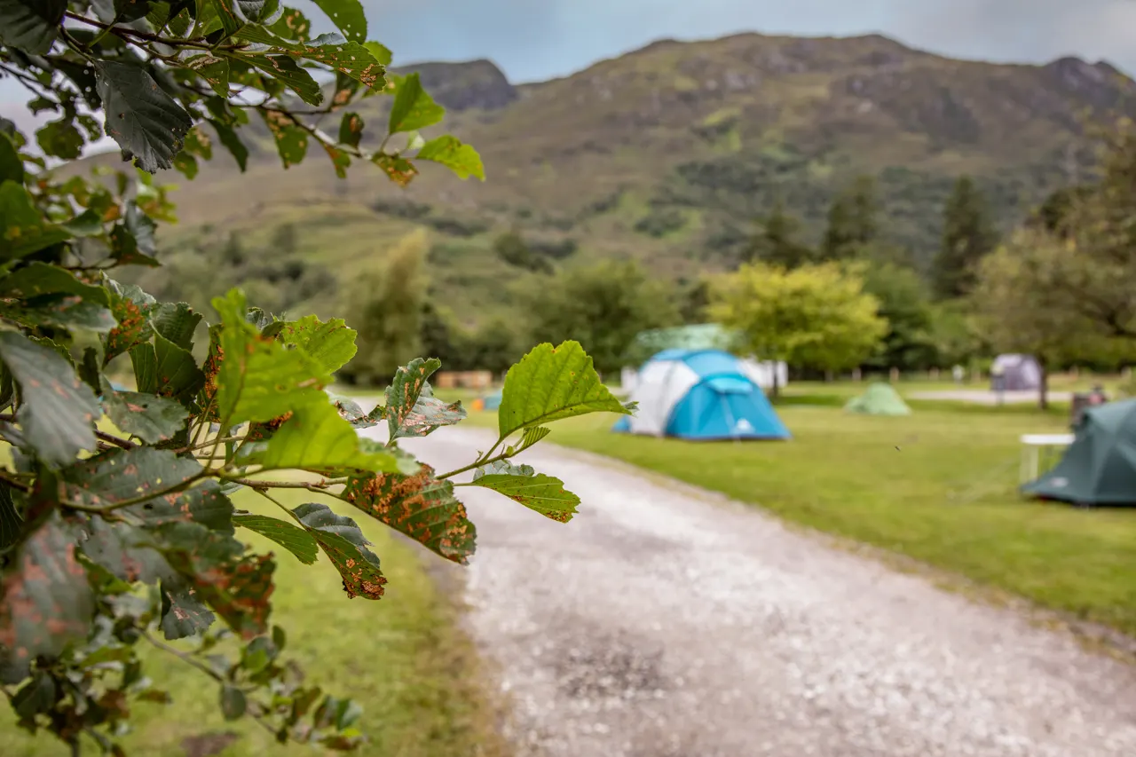Glenshiel Campsite