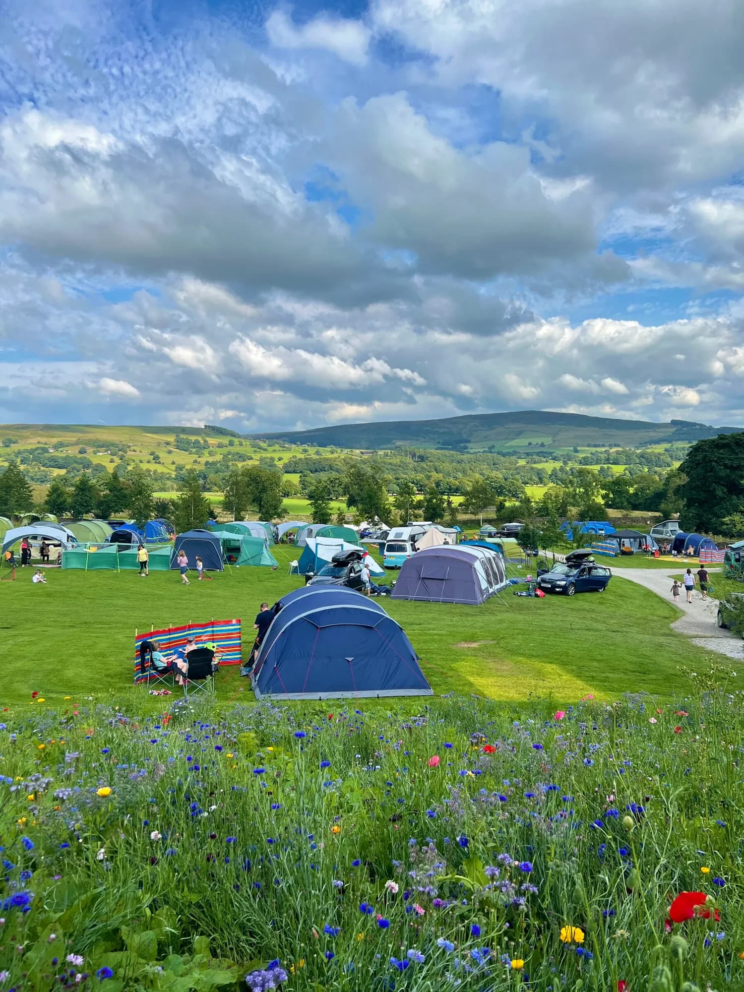 Catgill Campsite