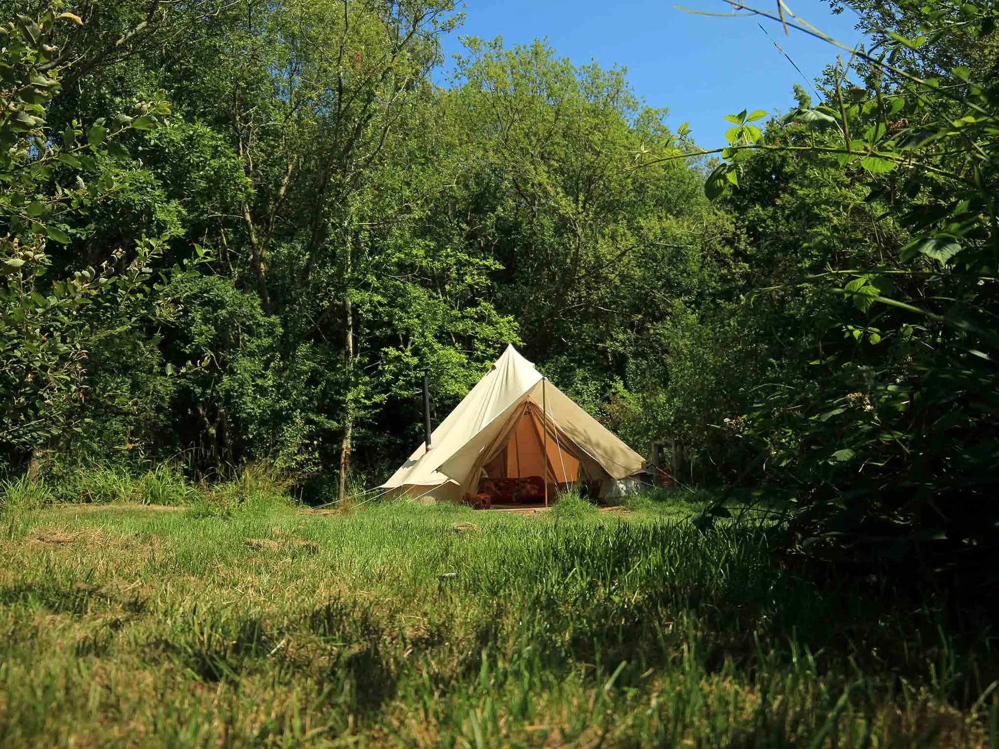 Dernwood Farm Campsite