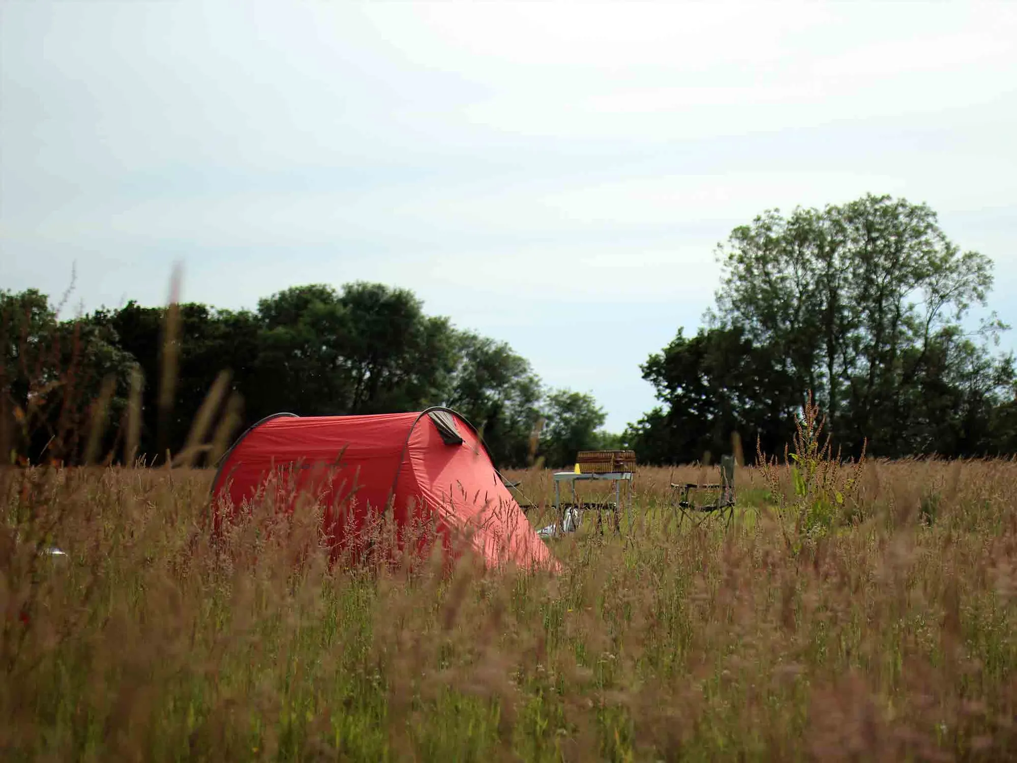 The Sunny Field
