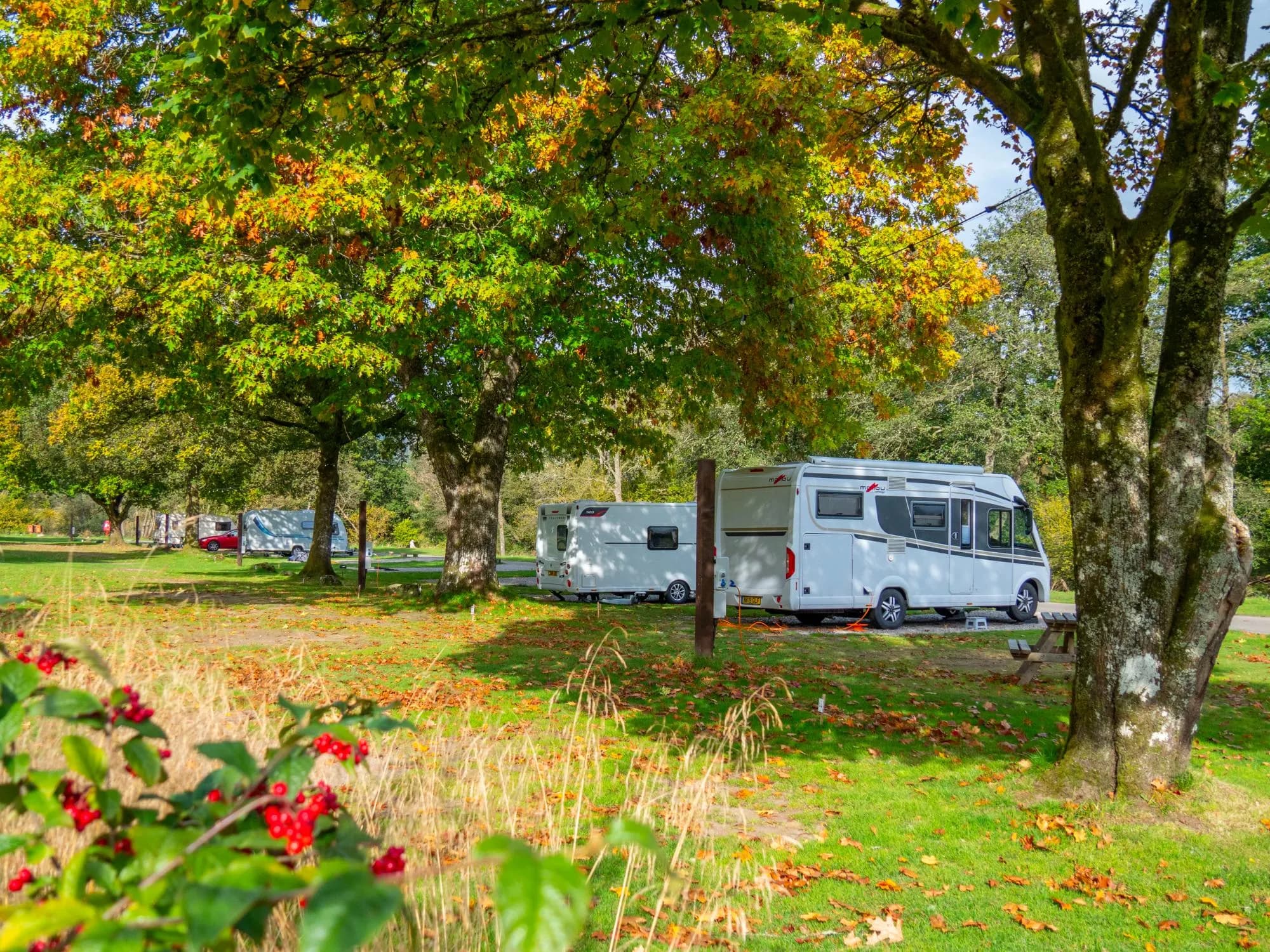 Cobleland Campsite