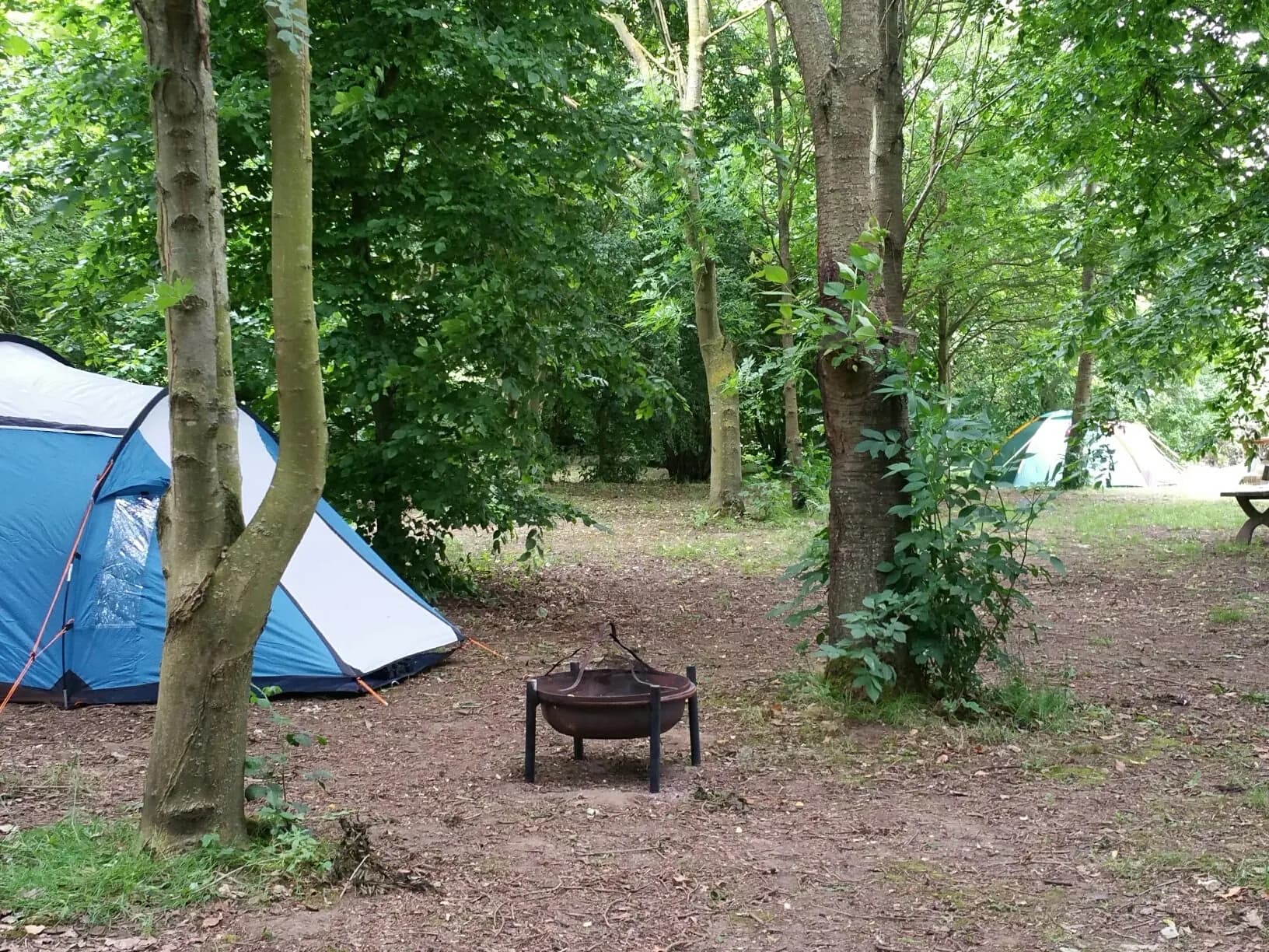 Newbourne Woodlands Campsite