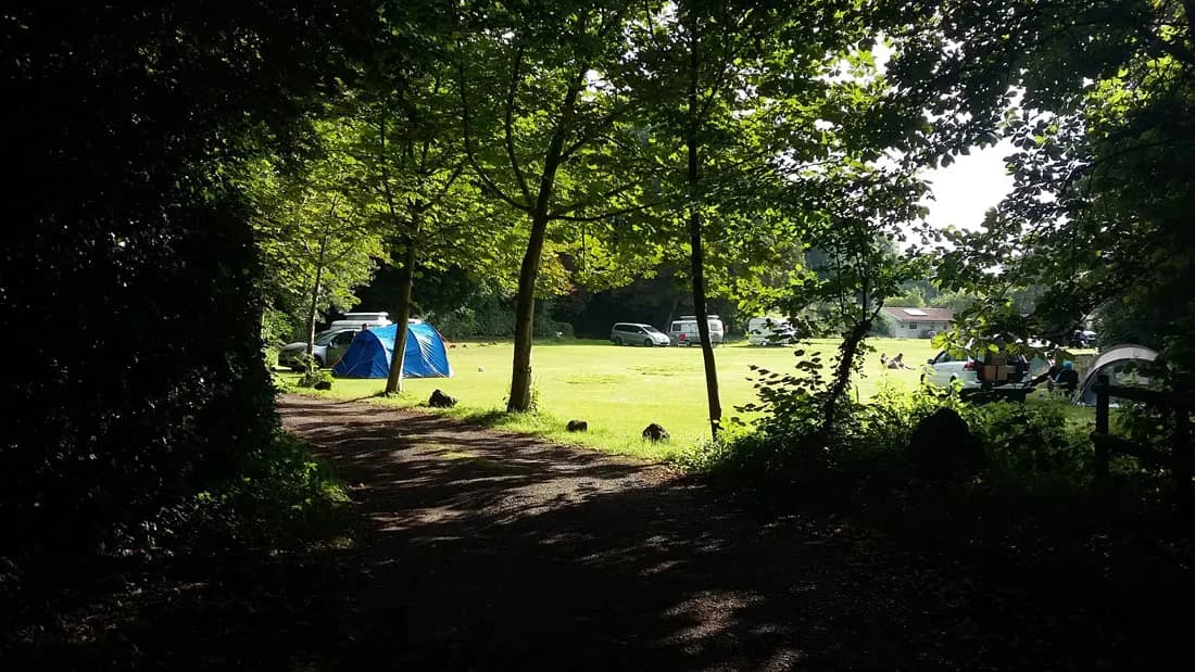 Brook Lodge Farm Camping & Caravan Park
