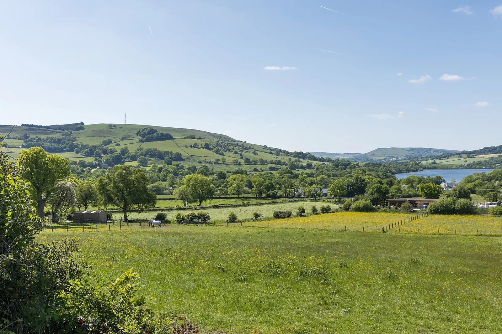 Combs Valley Campsite