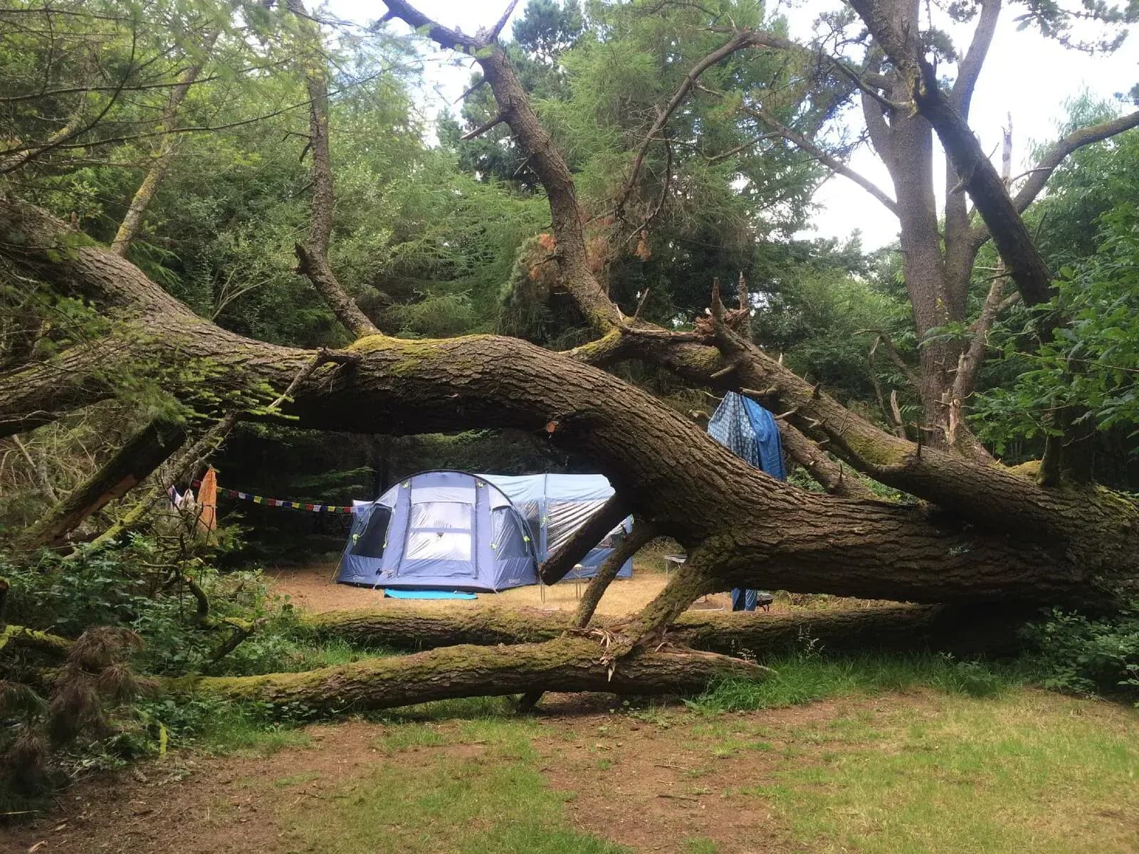Ashbourne Woods Campsite