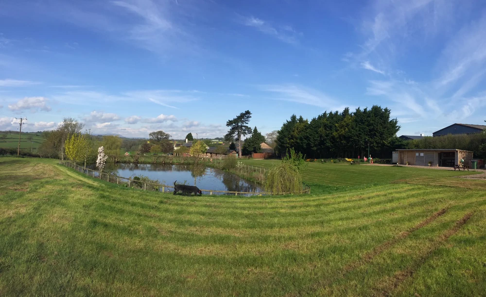 Hendre Farmhouse Orchard Campsite