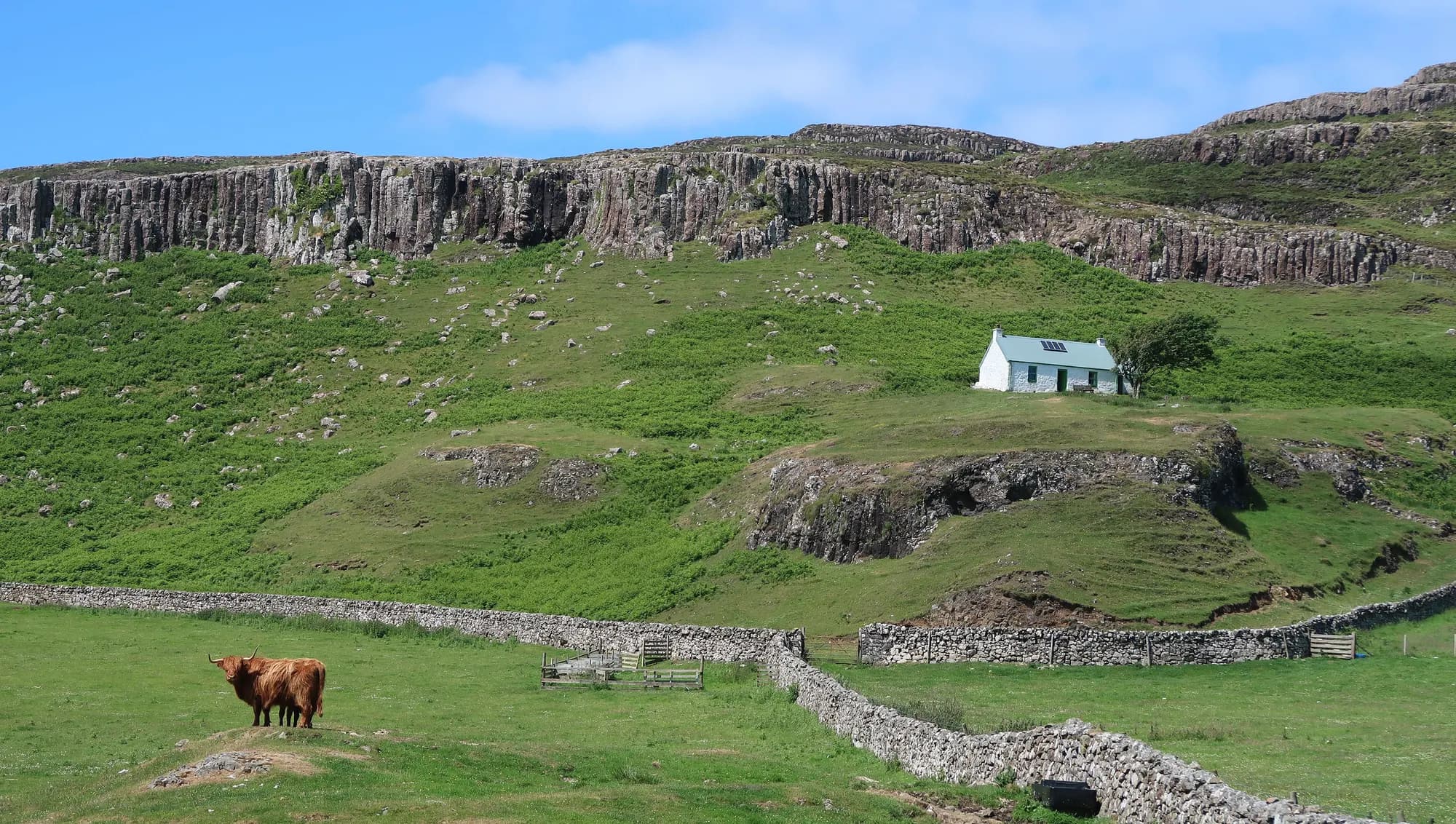 Canna Campsite