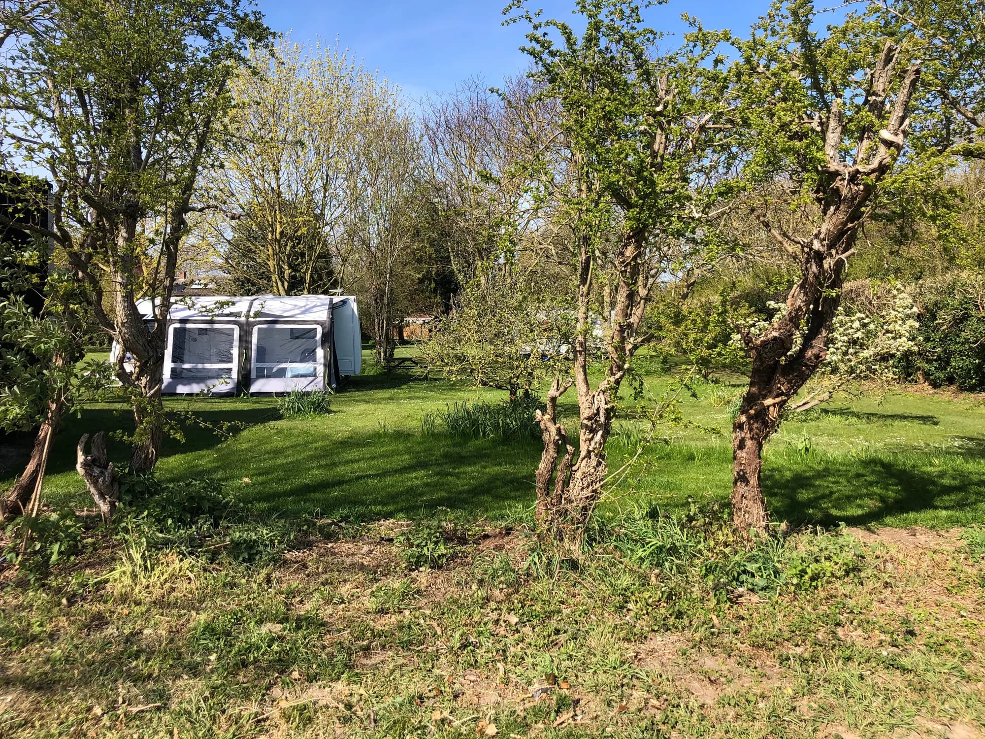 Bounds Campsite